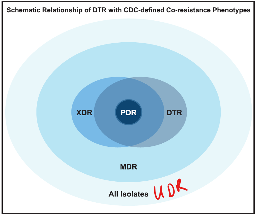 Kadri 2018 - Graphical view of UDR-MDR-XDR-PDR-DTR