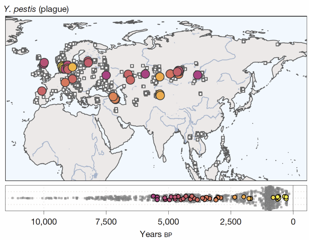 Geospatial map of cases of plague over the period 10,000 to 0 BP