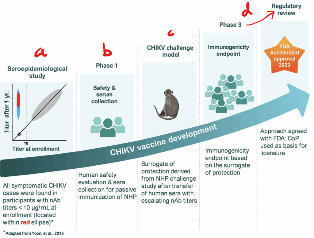 Timeline and procedures for CHIKV vaccine development
