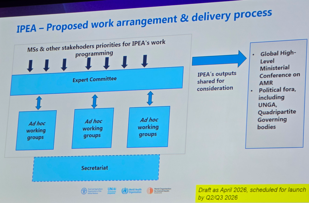 2026-04-17 Nyemazi - Next steps for IPEA