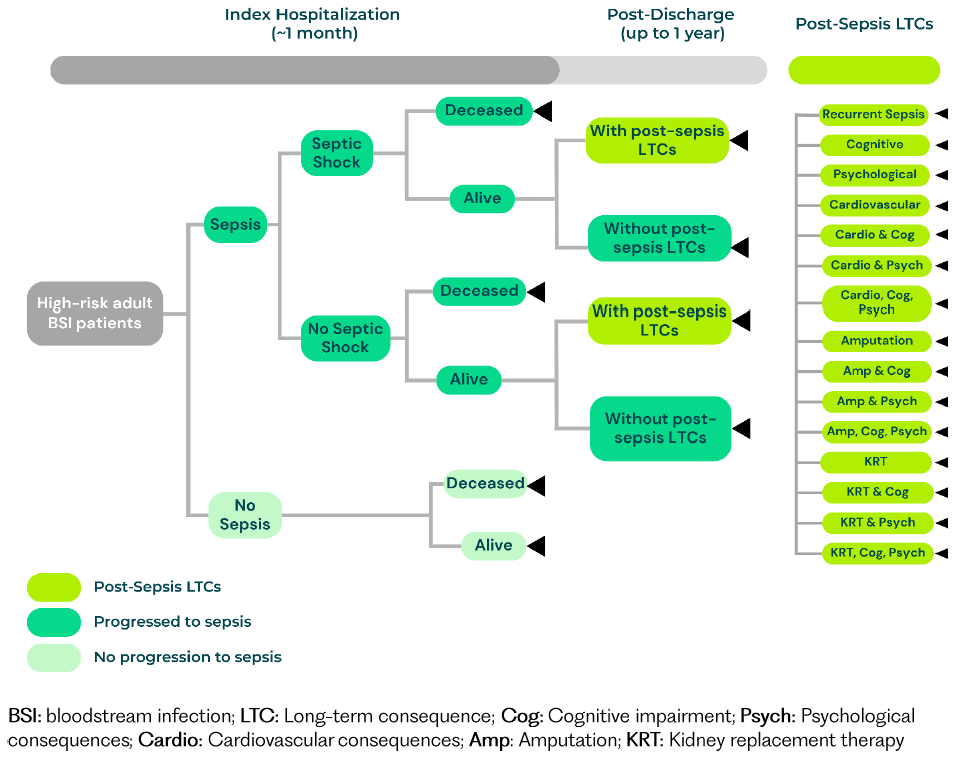 OHE analysis of the impact of rapid diagnostics, model flow chart